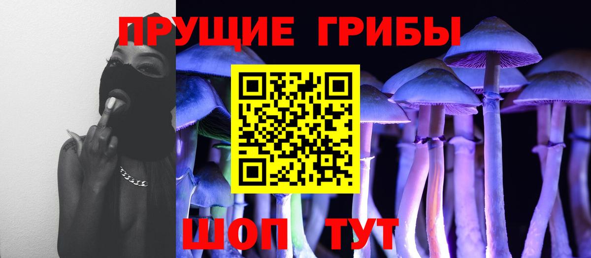 Галлюциногенные грибы Psilocybe Кушва