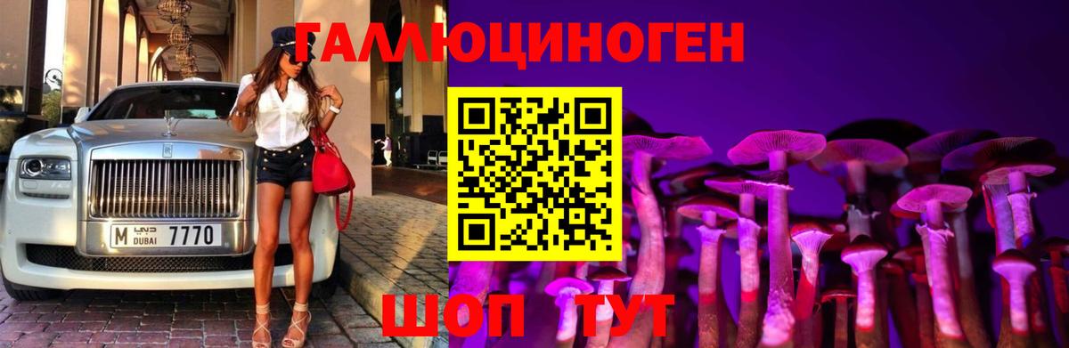Кушва  как найти закладки  Вход с VPN  Псилоцибиновые грибы GOLDEN TEACHER 